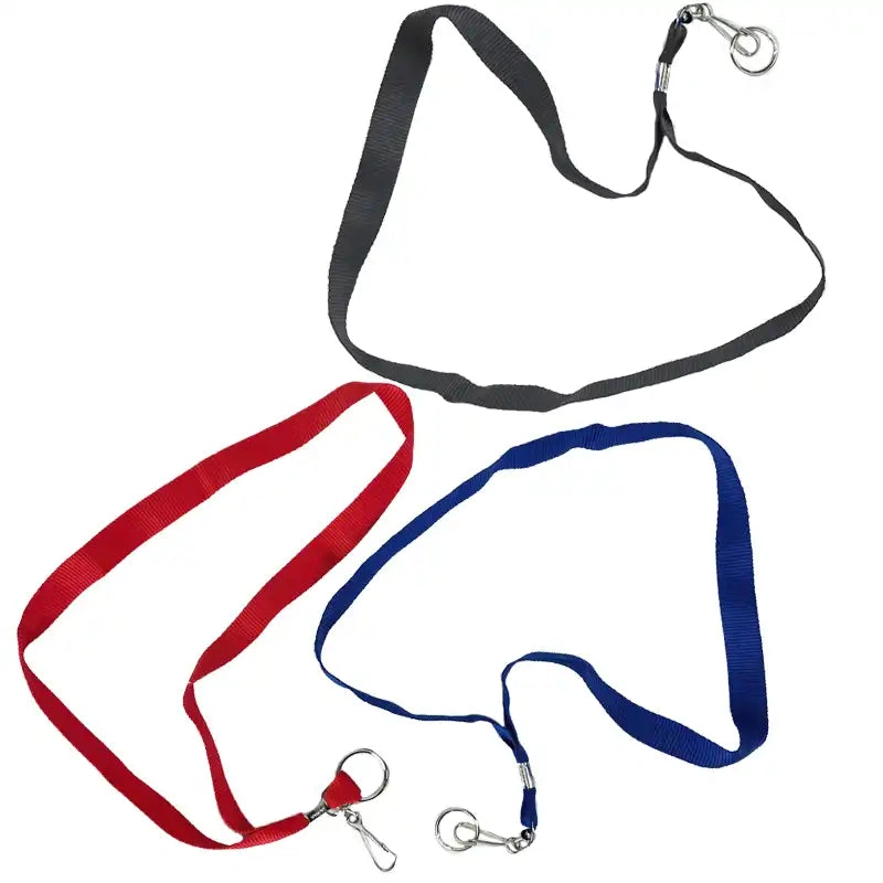 Cool Keychains & Lanyards – 17 Stylish Sets!